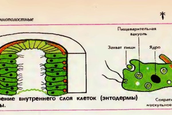 Kraken зеркало официальный